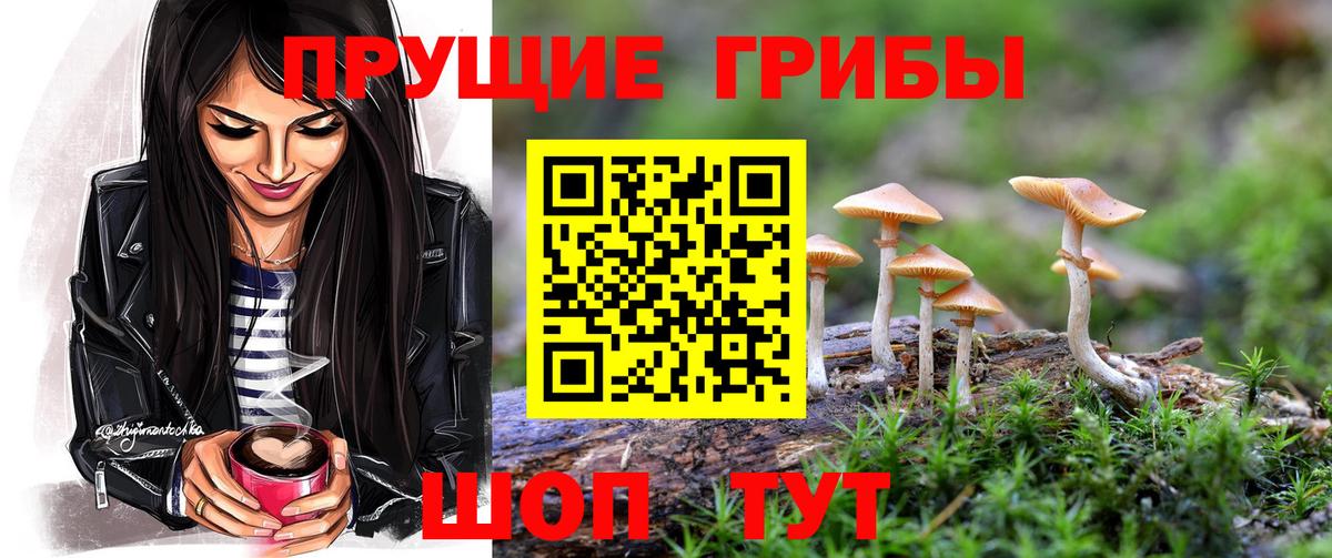 Галлюциногенные грибы мицелий  Псилоцибиновые грибы Cubensis  Воткинск  Вход с VPN 
