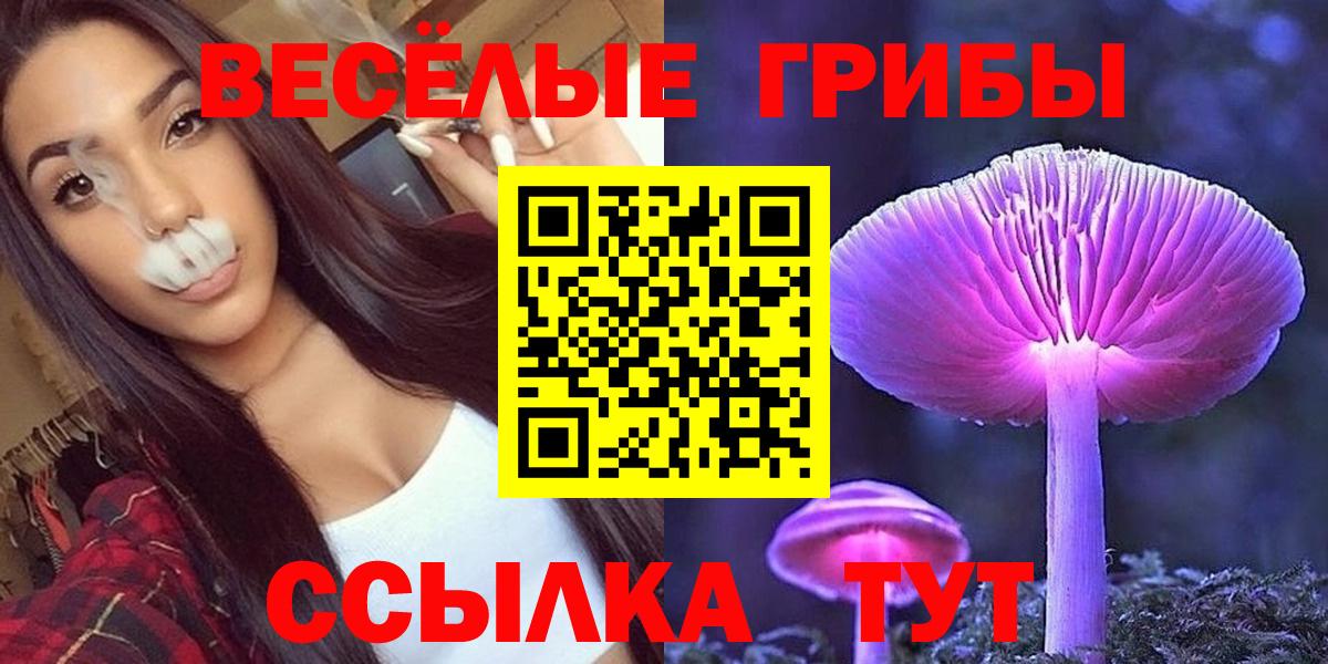 Псилоцибиновые грибы Psilocybe Воткинск